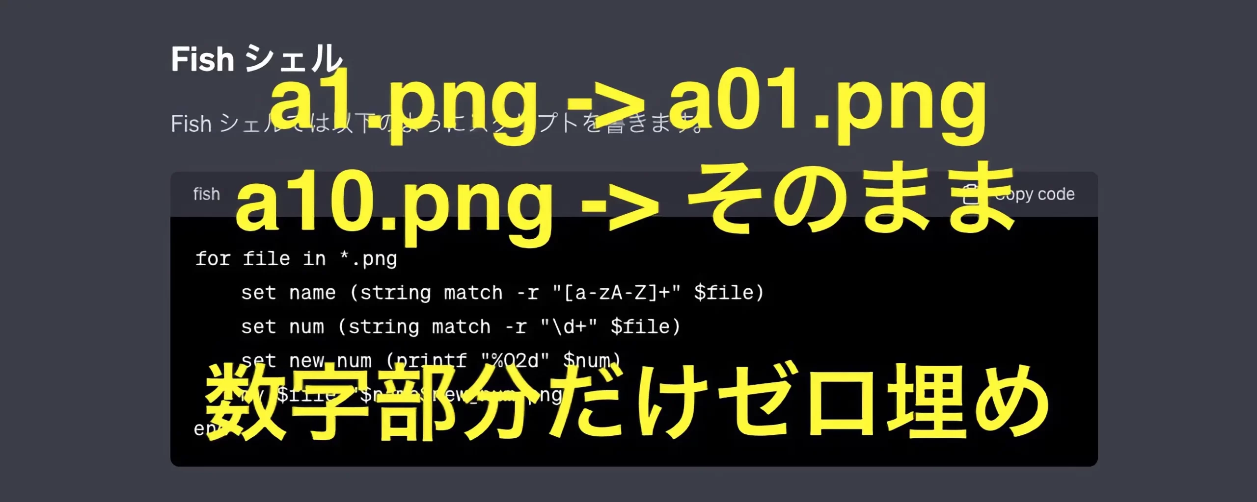 Featured image of post 文字列混じりのファイル名の数字部分をゼロ埋めするスクリプト