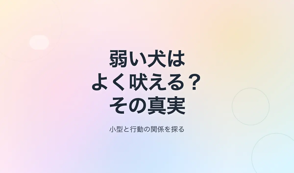 Featured image of post 本当に弱い犬ほどよく吠えるのか？